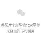 安化黑茶茶叶礼盒-臻粽