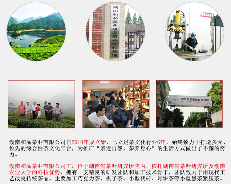 和品茶叶的公司实力展示