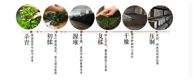 安化黑茶制作工艺流程图